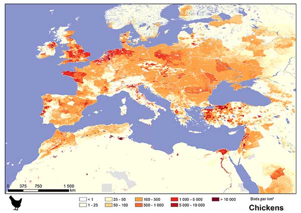 Nombre de poulets par kilomètre carré