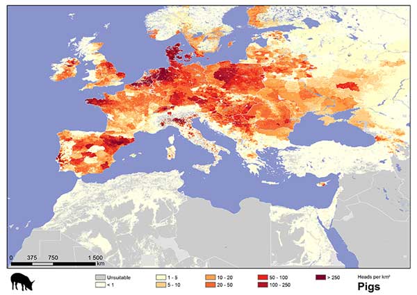 Nombre de cochons par kilomètre carré