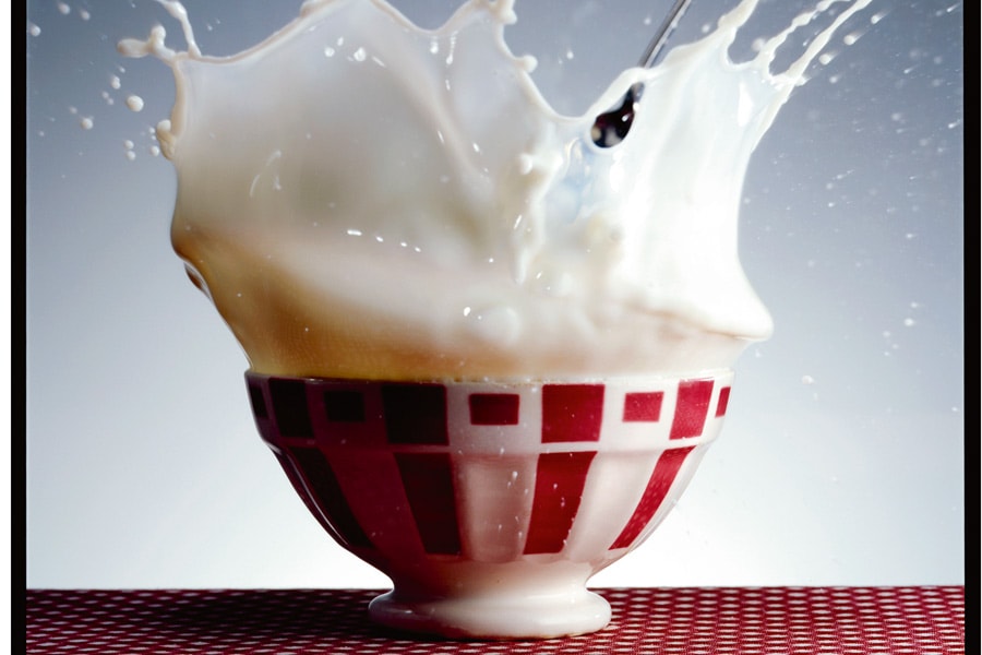 Le bio en pleine montée de lait Terra eco